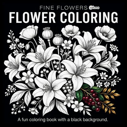 Colour & Create Gift Set